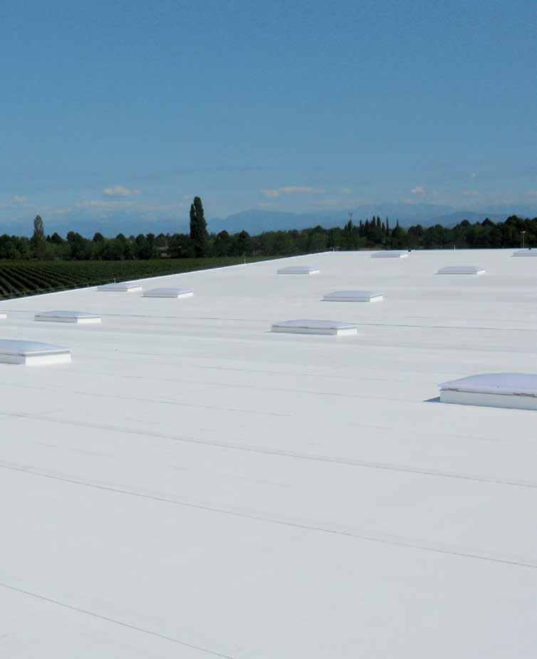 2. Roofing and waterproofing synthetic membranes FPO/TPO