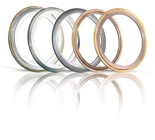 Garlock Metallic Gaskets Garlock Metallic Gaskets, a division of Garlock Sealing Technologies, manufactures spiral wound, metal clad, solid metal and metal core gaskets at its facility in Houston,