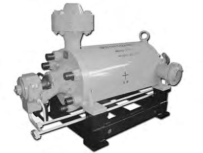 CNS PUMPS For Single and Double Pump High Pressure Packages DISTINCTIVE FEATURES Can form a high-pressure pumping units of two CNS 30- or CNS 40- series pumps driven by one electric motor Identical