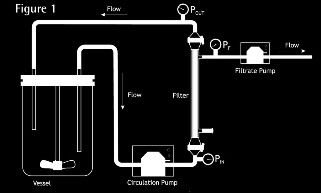 Process Overview TFF/Cross Filtration Process Overview A tangential flow filtration (TFF) or cross flow filtration process using a hollow fiber filter module (versus a plate & frame cassette flat