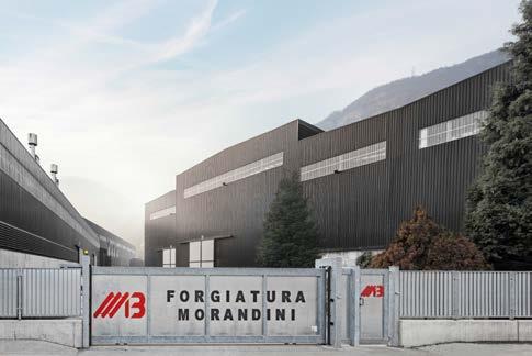 Company Overview Forgiatura Morandini was established in 1970 and is a private company belonging to the Morandini family.