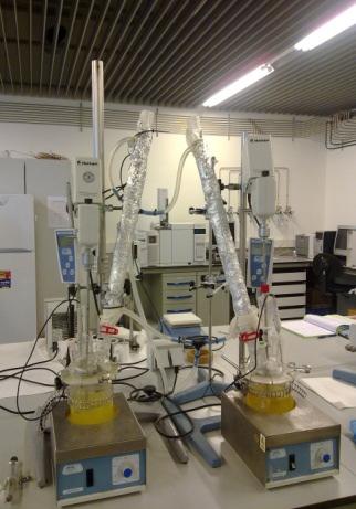Synthesis of biodiesel in the