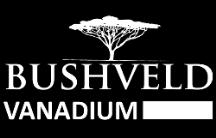 Company overview: Bushveld Minerals is building one of the largest, most vertically