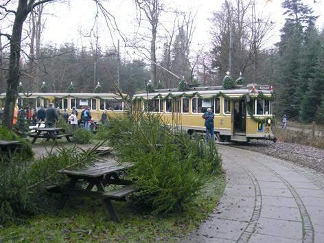 Christmas at the Tramway Museum Take a ride on the Christmas tram -