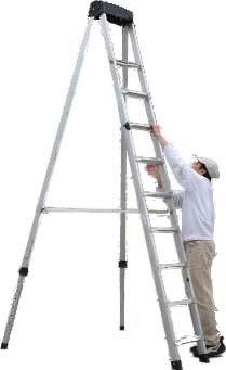 step at Ladder For more