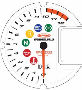 functional specifications for STR RIEJU speedometer. 2.