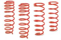 Coil Over Suspension RAMS-8M-H05 Sport Springs Reduces the ride height by 22mm - 39mm depending on vehicle.