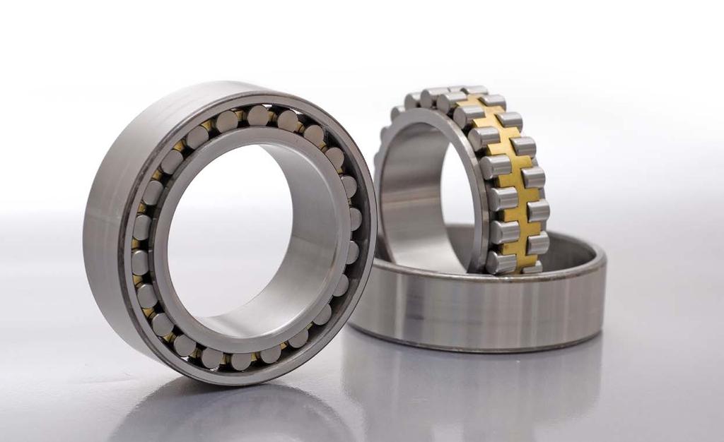 ouble Row Cylinrical Roller Bearings ouble row cylinrical roller bearings, NN esign, have two rows of cylinrical rollers guie by three ribs on the inner ring.
