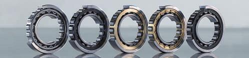 6. IBC Cylindrical Roller Bearings 7. Designation system N, NU, NJ, NUP Examples: 10 AC- NU N NU,, NJ NUP 0 10C,1313C,13 20 13 2 10 03 22 08 05.EA.EA.EA.EA.M1.M1 P.MCA.M1A 00.P6.P53.A152.C3.