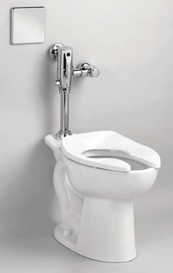 BARRIER FREE MADERA FloWise 16-1/2" HIGH 1.1 GPF FLUSHOMETER toilet system with EVERCLEAN 3461.711 1.