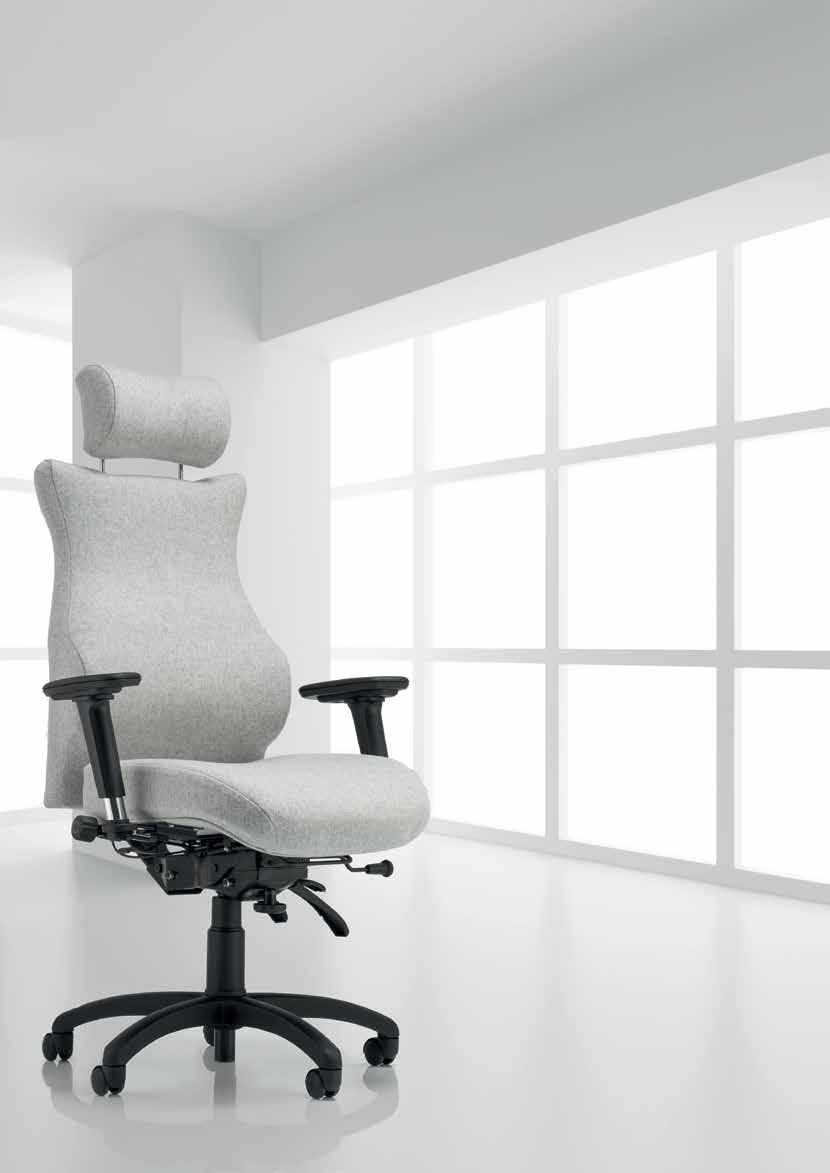 Since its introduction in 1999, Spynamics has evolved from a single chair into the most comprehensive range of ergonomic seating for all shapes and sizes from 4 10 to 6 10 with a maximum weight