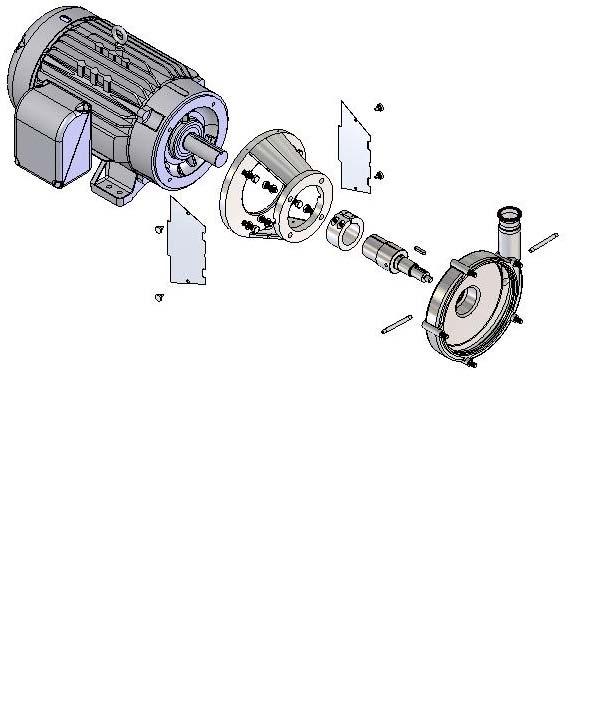 Motor Fristam Pumps 10 Motor Bolt & Washer Flange Guard Screw Shaft Clamp Impeller Key