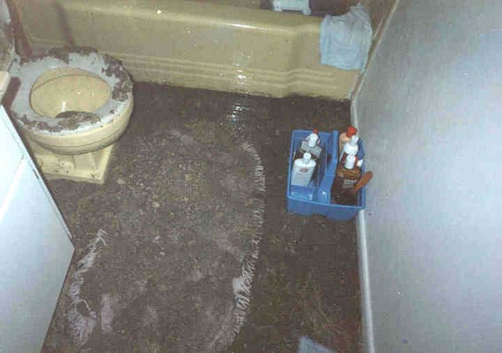 Sanitary Sewer