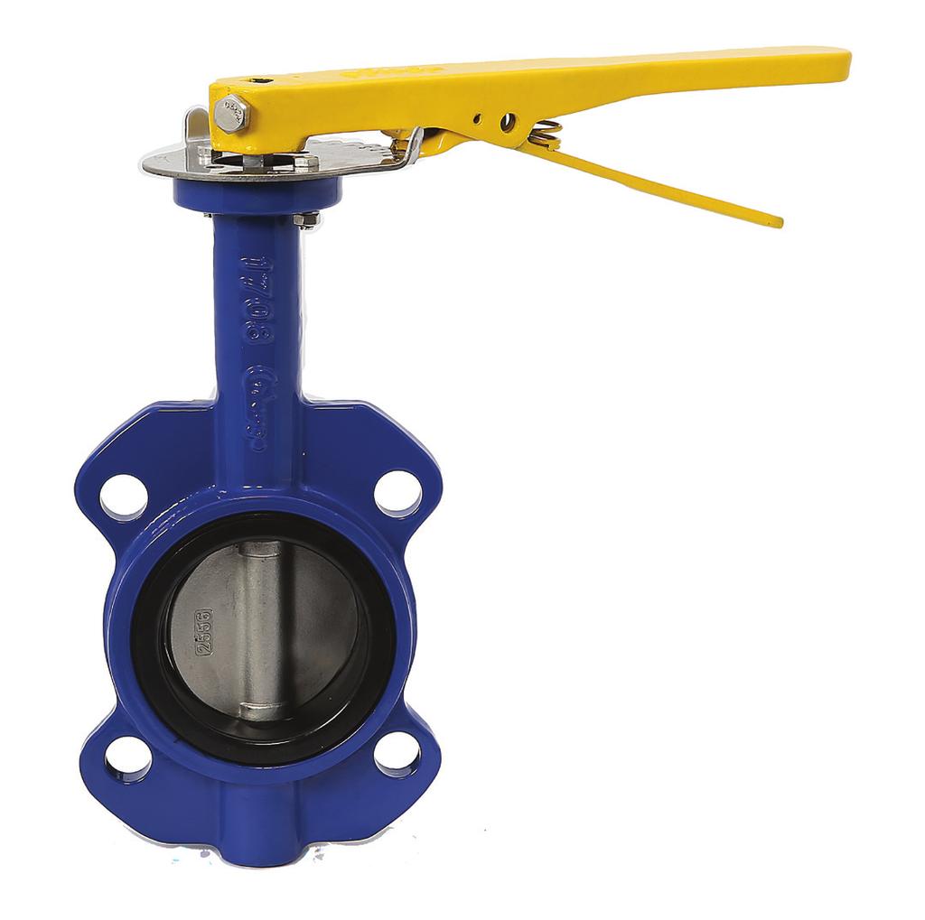 BUTTERFLY VALVES 200 psi rating