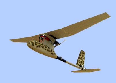 Marine, Army: Man Portable UAV s Wingspan - 4 ft Speed 40 mph Range 6 m Endurance - 1 hr Source: Dragon Eye Naval Research Laboratory