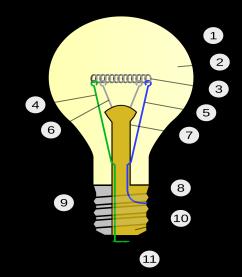 Answer could include, but is not limited to: Answer should include, but is not limited to: Parts of a typical filament bulb 1. Outline of glass bulb 2.