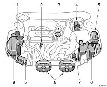 Engine compartment overview 1. Power steering fluid reservoir 2. Engine oil level dipstick 3. Engine oil filler cap 4.