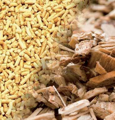 biomass heating systems. Innovation, sustainability, partnership and high flexibility are the dictums of our actions.