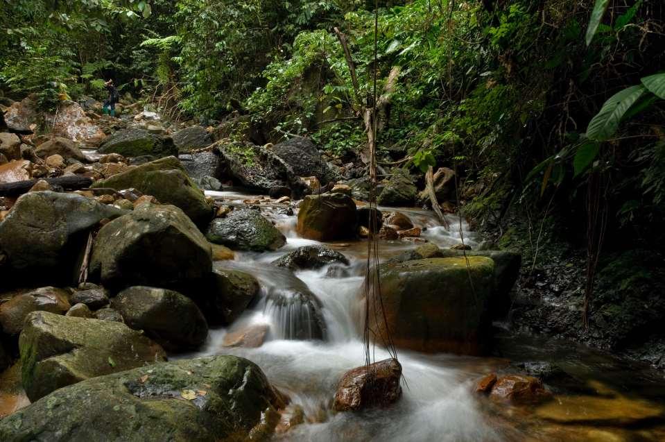 A Commitment to Sustainability Nature s Medicine Chest Partnering with local authorities in the conservation efforts of Imbak Canyon in Sabah, spanning