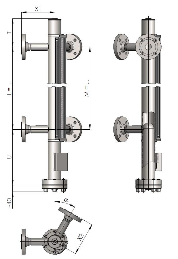 A6 L21 with double connection Standard specifications Medium Ambient Nominal pressure From 196 C to +500 C From 60 C to +85 C From 1 to 400 bar g Density of the medium 365 kg/сm 3 External material