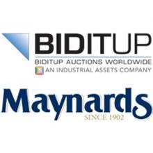 Biditup Auctions Worldwide, Inc.