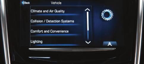 Vehicle Personalization Navigation The Vehicle Settings menu may include Climate and Air Quality; Collision/Detection Systems; Comfort and Convenience; Lighting; Power Door Locks; and Remote Lock,