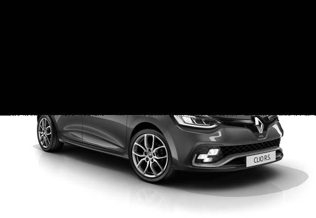 Standard features CLIO R.S. SPORT CLIO R.S. CUP((R.S. SPORT+)^ 17" Silver grey Tibor Renault Sport alloy wheel 18" Black Renault Sport alloy wheel Optional dark leather upholstery with red highlights and R.