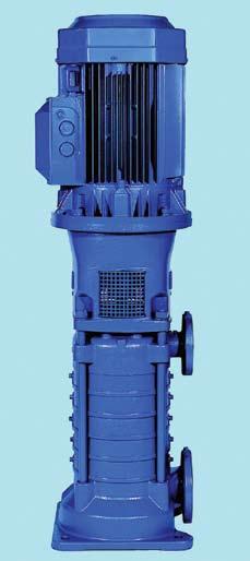 A Full Range of Product Features Performance Range: Capacities up to GPM ( m /h) Head up to feet ( m) Maximum speed up to RPM Multistage pumps for capacities up to GPM (, m /h), available Series P