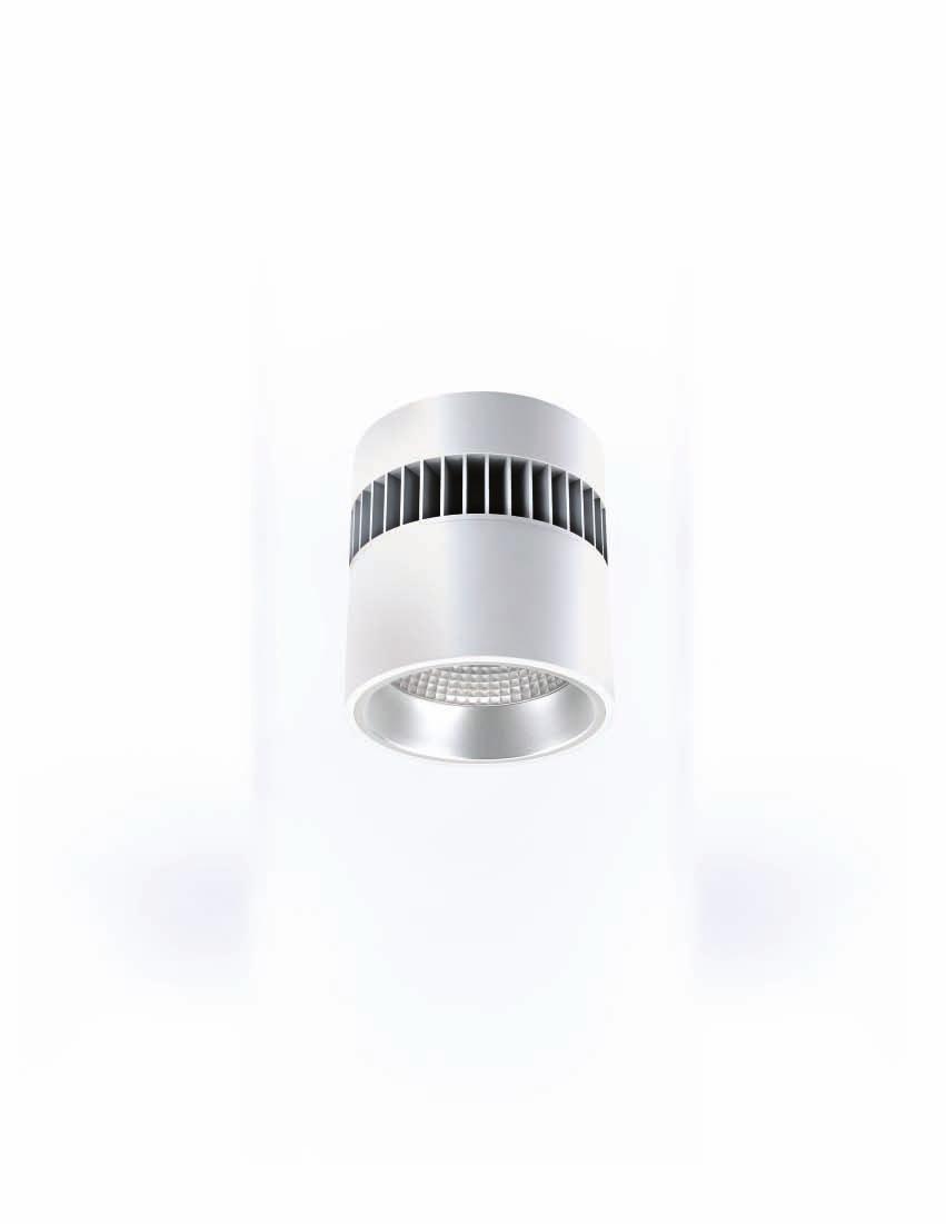 ARCHITECTURAL LED DOWNLIGHT SERIES Application This WD1 Series directional Wall luminaire can be used in both interior and outdoor settings and can be pointed up or down.