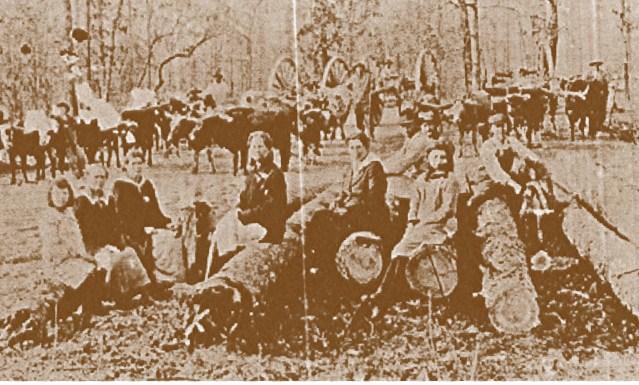 Pyron Chapel Community, 1915 Fall