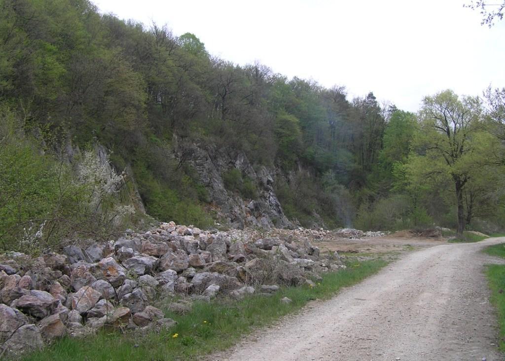 Gašperšič, M. 2010. Presoja investicije v kamnolom. 35