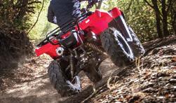 It s not a matter of one being better, but one will probably suit your needs a little more than the other, depending on the terrain where you ride and how you use your ATV. Which one is right for you?