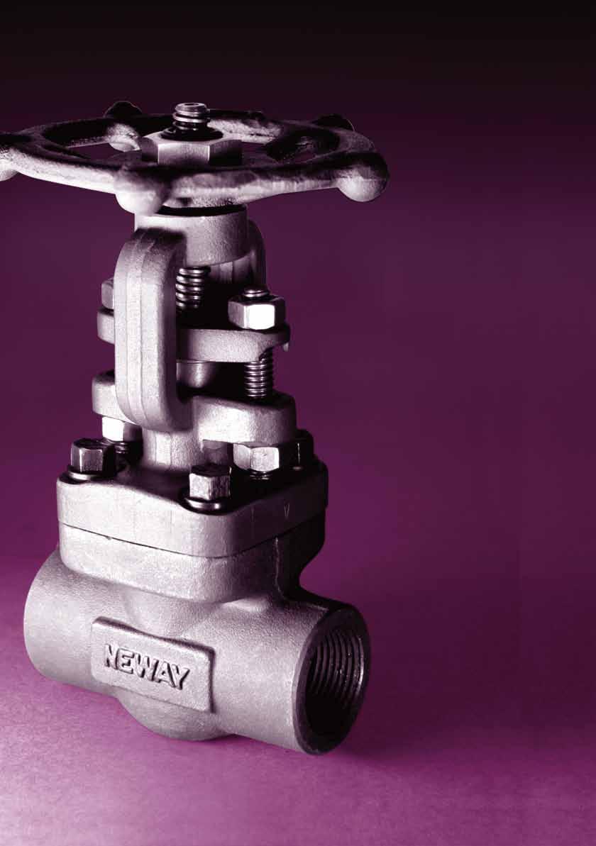 Forged Steel Valve Complete Solutions for
