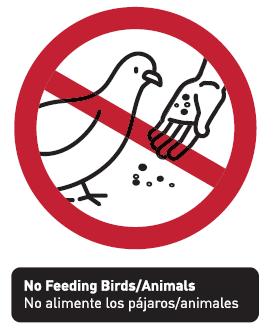 No Feeding Birds/Animals Feeding of birds or other