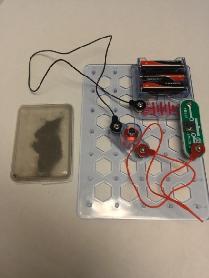 Next, move them close to the magnet. Observe how the paperclips react. 2. Construct the circuit as shown above.