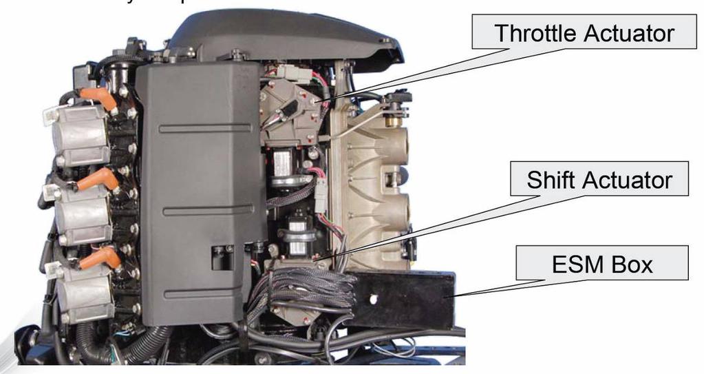The ESM accepts all engine data from the EMM, such as RPM, fuel flow, temperature, battery voltage, throttle position and so on, and passes it onto the CAN network, along with shift and throttle