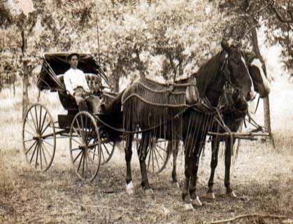 The horse drawn wagon was the primary