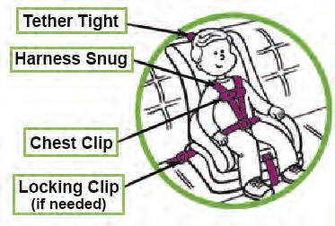 Securing the User in the Child Restraint Once the child restraint has been properly fitted and installed in the vehicle, follow these instructions to secure the user in the child restraint.