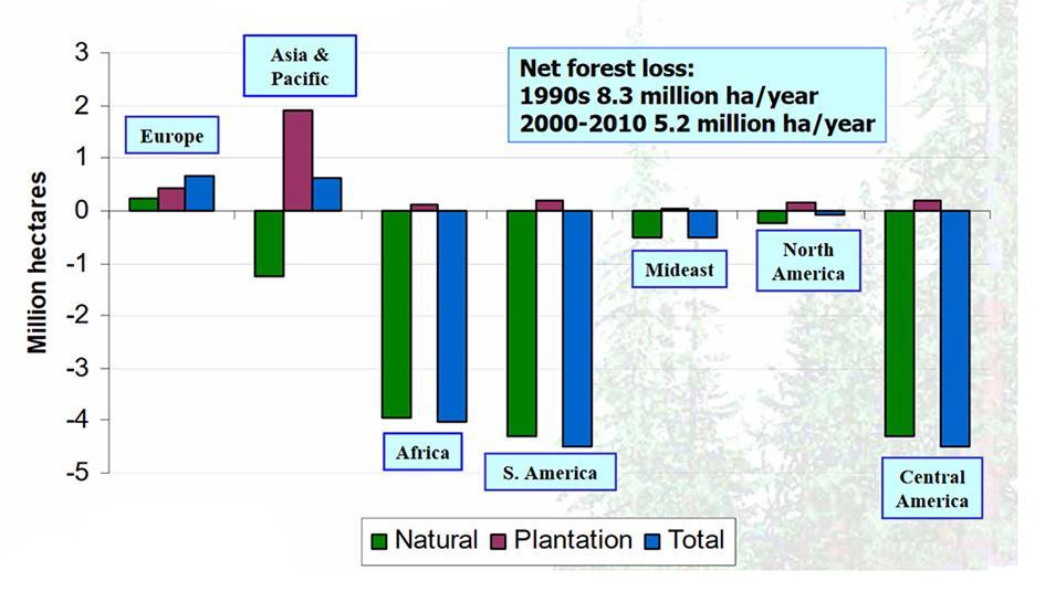 2010). Po vsem svetu se povečujejo površine plantažnih nasadov (FAO Global Forest Resources Assessments, 2011).