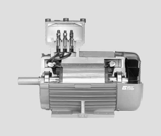 3-phase TEFV induction motors Construction C1 - Description of FLSD flameproof motors: Ex d II B Component Materials Remarks 1 Finned housing Cast iron - with integral feet or without feet 4, 6 or 8