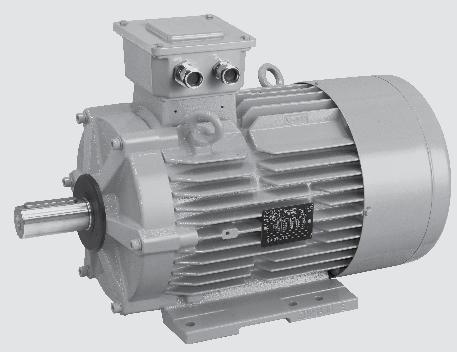 3-phase TEFV induction motors Construction C2 - Other descriptions of FLSD flameproof motors C2.