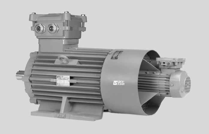 H2.6 - FORCED VENTILATION The ATEX motors described in this catalogue are approved to be supplied with frequency inverters.