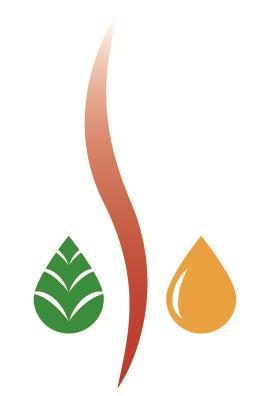 Practical Application of Bio-based Pyrolysis Oil