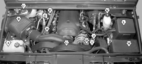 Engine Compartment Overview When you open the hood on