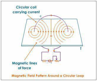1. Nature of magnetic field: The magnetic field lines due to a straight current carrying conductor forms a pattern of concentric circles with their centers on the wire.