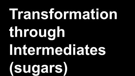 Intermediates (sugars)