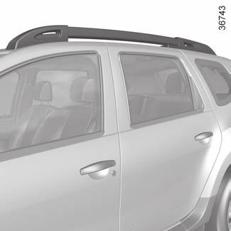 LONGITUDINAL ROOF BARS 2 1 If fitted to the vehicle, you can use the mounting holes 2 of the longitudinal bars to: use luggage restraint systems (straps, cords, etc.