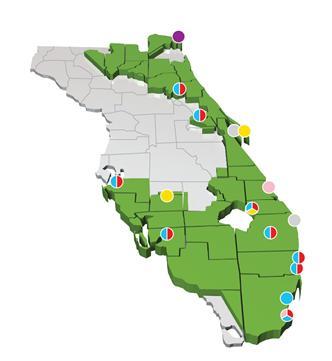 Florida Power & Light is one of the largest utilities in the U.S. Florida Power & Light (1) Vertically integrated, retail rateregulated 4.6 MM customer accounts 24,057 MW in operation $10.