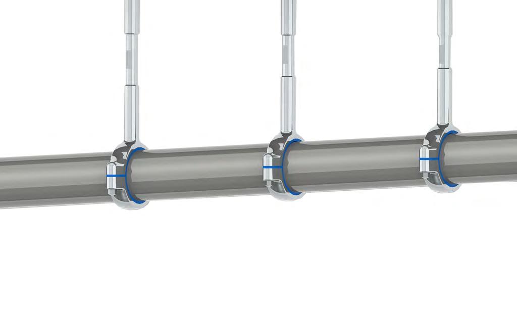 Introduction Page Hygienic Pipe and Supports Local solutions for individual customers worldwide.