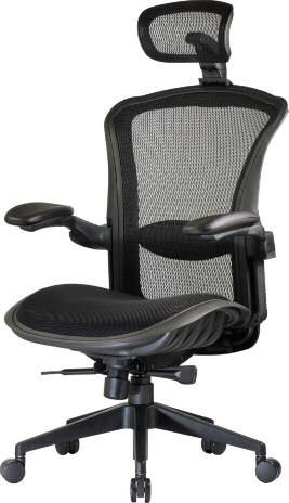 $725 Full-size, mesh-back chair with a comfortable foam